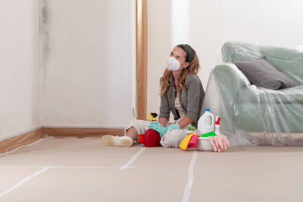 Reliable Black Mold Remediation contractor in Glen Burnie, MD by Car Mold Remediation